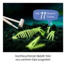 MBE Nachtleuchtender Flugsaurier