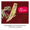 T-Rex - Zahn