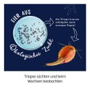 Fun Science Triops züchten