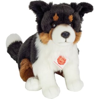 Tri-Color Border Collie sitzend, 30 cm