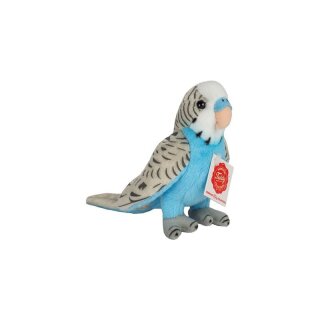 Wellensittich blau 13 cm
