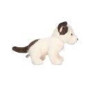 Hundewelpe Russell 25 cm