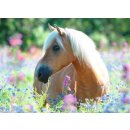Ravenburger 13294 Puzzle Pferd im Blumenmeer 300 Teile