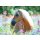 Ravenburger 13294 Puzzle Pferd im Blumenmeer 300 Teile