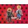 Miraculous: Adrien & Cat Noir