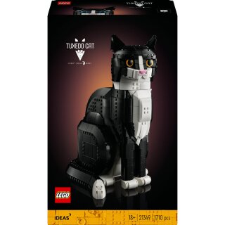 Schwarz-weiße Katze