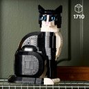 Schwarz-weiße Katze