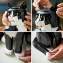 Schwarz-weiße Katze