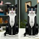 Schwarz-weiße Katze
