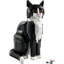 Schwarz-weiße Katze