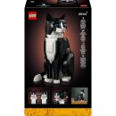 Schwarz-weiße Katze