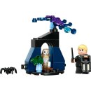 LEGO Set: 76434 Aragog im Verbotenen Wald & 30677 Draco im Verbotenen Wald