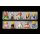 Asterix Figurenset