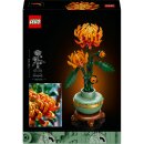 Chrysantheme