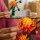 Chrysantheme
