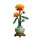 Chrysantheme