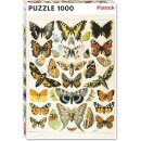 Millot - Butterflies and Moths