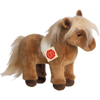 Shetlandpony, 25 cm