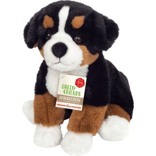 Berner Sennenhund sitzend 26 cm