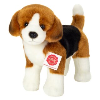 Beagle stehend, 23 cm