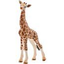 schleich® Wild Life - 14751 Giraffenbaby, ab 3 Jahre
