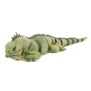 SEMO Leguan mittel 55cm