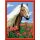 Haflinger