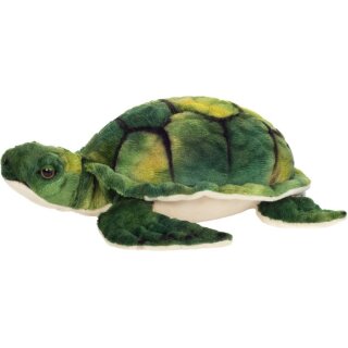 Wasserschildkröte 23 cm