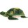 Wasserschildkröte 23 cm