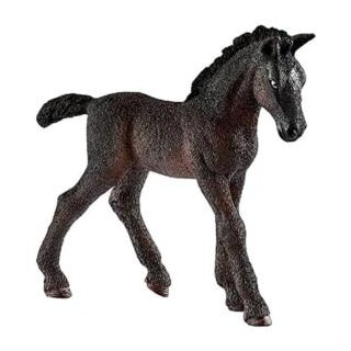 Horse-Club Lipizzaner Fohlen