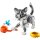 Graue Katze