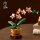 Mini-Orchidee