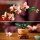 Mini-Orchidee