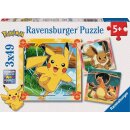 Pokémon Puzzle - Pikachu, Glurak und Evoli