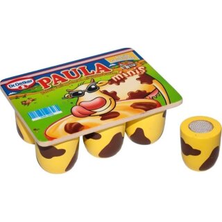Dr. Oetker Paula Minis aus Holz