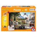 Die Tiere des Waldes