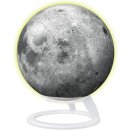3D Puzzle Ball Mond Glow in the Dark