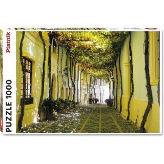 Andalusische Gasse