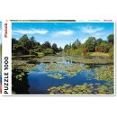 Seerosentraum von Sonja Zelano