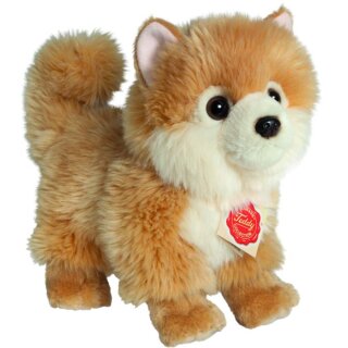 Teddy Hermann Zwergspitz, 22 cm