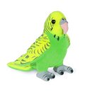 Wellensittich grün 13 cm