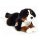 Berner Sennenhund liegend 40 cm
