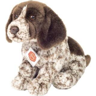 Deutsch Drahthaar Welpe 30 cm
