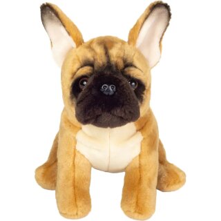 Französische Bulldogge 27 cm