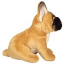 Französische Bulldogge 27 cm