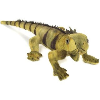 Leguan 49 cm