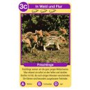 Tierquartett Tierkinder