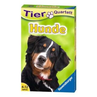 Tierquartett Hunde
