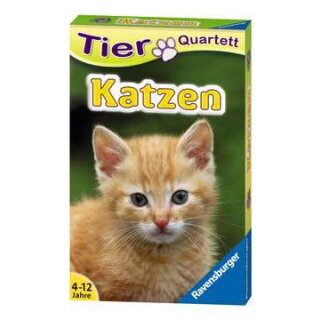 Tierquartett Katzen
