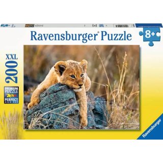 Kleiner Löwe